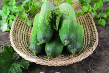 fresh cucumber on white background, raw organic vegetable