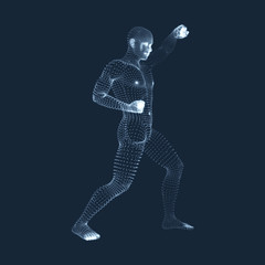Fighting Man. 3D Model of Man. Human Body Model.