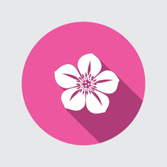 Petunia flower icons. Floral symbol. Round circle flat icon with long shadow. Vector - 133756608
