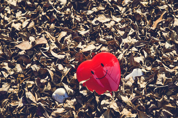 Fototapeta premium Smile of red heart in group dry leaves with sunlight. love smile valentine day concept
