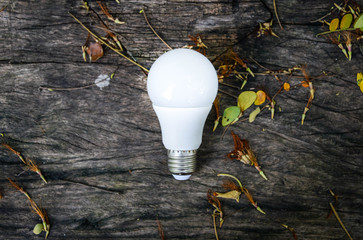 LED bulb with lighting on the wooden background