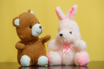 Teddy bear with bunny doll