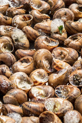 Cooking snails