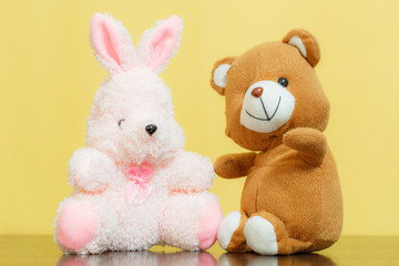 Teddy bear with bunny doll