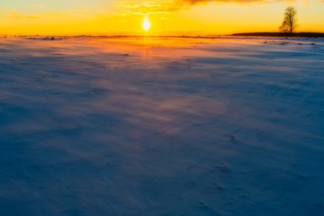 Fototapeta premium Winter fields sunset with snow moving by wind