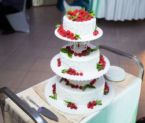 Obraz na płótnie Canvas cake with strawberries