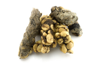 Kopi Luwak or civet coffee isolated on white background