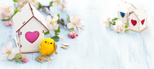 Fototapeta na wymiar Easter decoration with apple blossom.