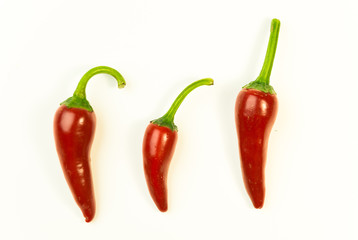 Three ripe red Chilli peppers on over white