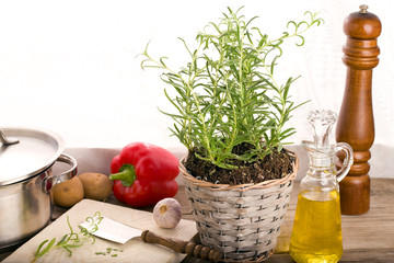 Kochen mit frischem Gemüse und Kräutern