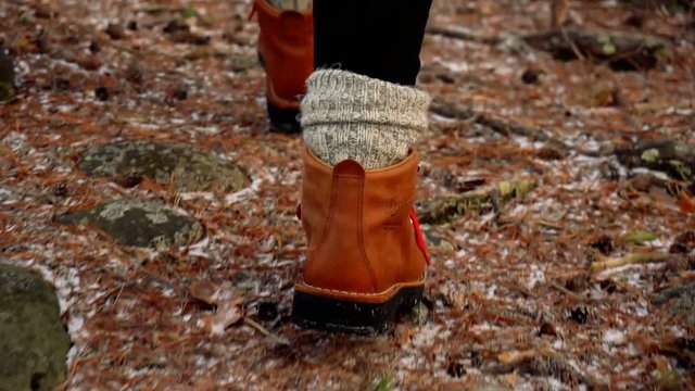 close up view of woman winter leather brown boots with grey socks walking on in the forest land covered with dried pine tree needles, hoarfrost, moss and cones