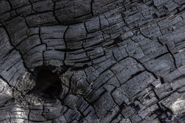 Background of burning wood