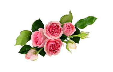 Pink rose flowers arrangement