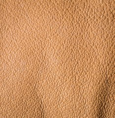 Leather creased background