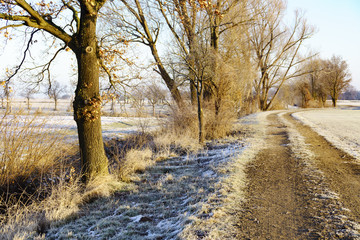 Wintertag in der Zülpicher Börde bei Sinzenich