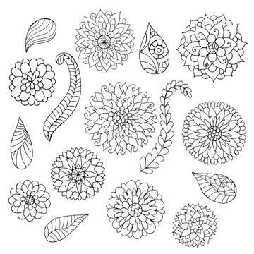 Set of black and white doodle flowers and leaves.