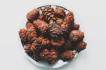 pine cones