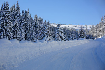 Fototapeta na wymiar Nice snowy road with fir trees and blue skies