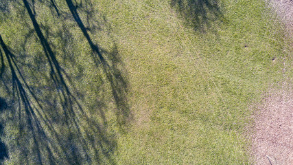 Vista aerea di un parco con alberi foglie e prato, area verde, ecologia