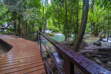 Wooden boardwalk with safety railing in summer forest
