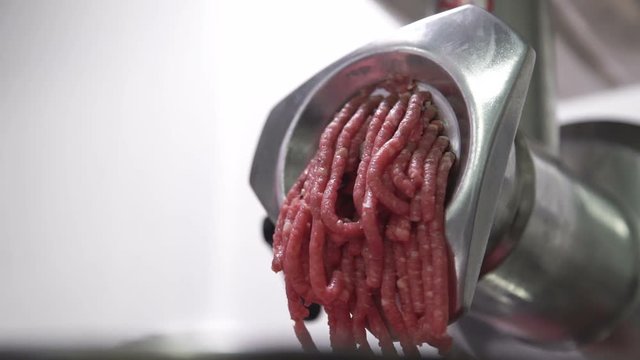 chopper makes minced forcemeat cooking in industrial kitchen