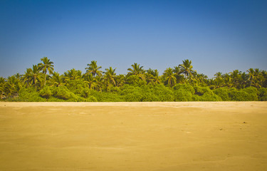 Majorda Beach India