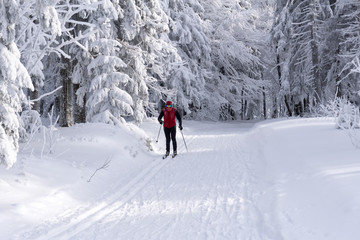 Fototapeta na wymiar Groomed ski trails for cross country skiing with single cross-co