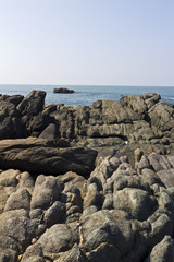 Rocky Shore