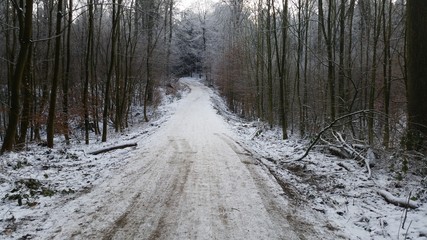 Ein Waldweg im Winter