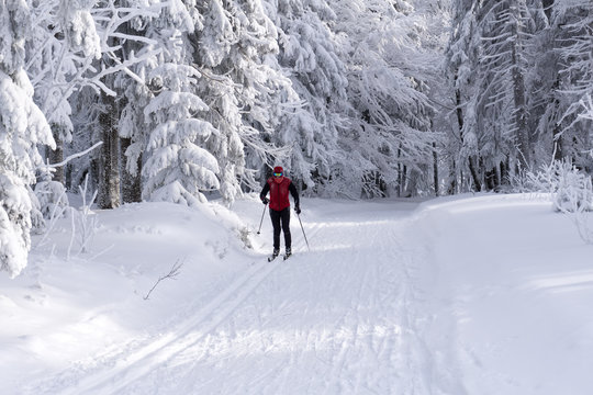 Groomed ski trails for cross country skiing with single cross-co