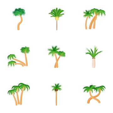 Tree palm icons set, cartoon style