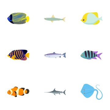 Species of fish icons set, cartoon style