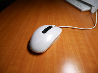 White laser mouse on wood background