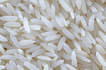 close up of white polished rice grain