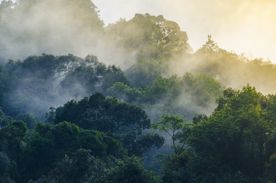 Fototapeta Nature view of Khao Yai National Park, Thailand