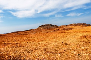 Grassland landscape with rocky hill