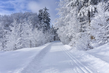 Groomed ski trail in sunny winter day on mountains road. Trees covered with hoarfrost illuminated by the sun.