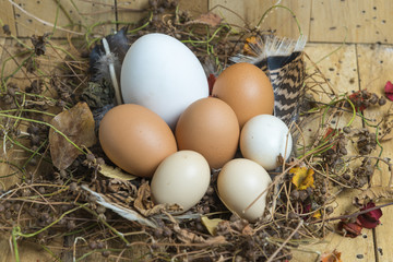 Ester background with colorful easter eggs, vintage filter image