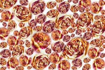 Seamless rose background