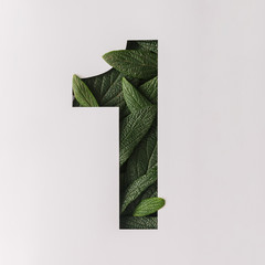Number one shape cutout with green leaves. Nature concept. Flat