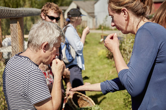 A group of people tasting seeds and plants on the foraging course. 