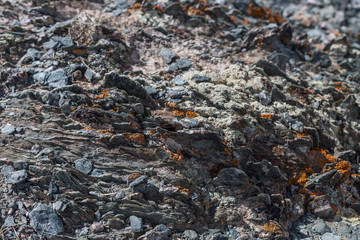 rock texture on  on Mountain in Ulgii : Mongolia .