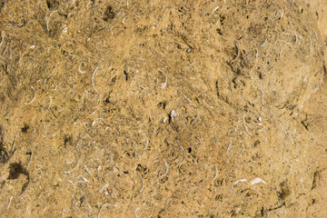 Texture yellow plastered cliff texture for background.