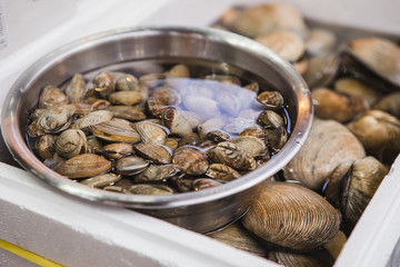 Fish market in Asia. Clams in water.