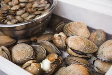 Fish market in Asia. Clams in water.