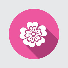 Primula flower icons. Spring flowers. Floral symbol. Round circle flat icon with long shadow. May be used in cuisine. Vector isolated. - 133775017