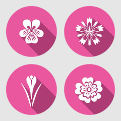 Flower set. Primula, viola, blue poppy, Crocus, Saffron. Spring flowers. Floral symbols with leaves. Color icons. May be used in cuisine. Vector isolated. 