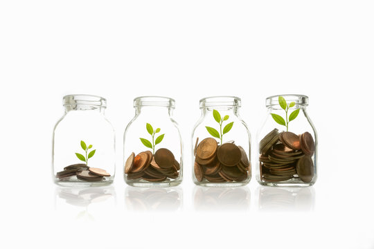Coins and plant in bottle, business investment growth and saving concept.