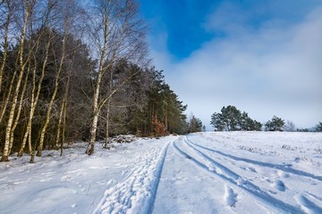 Fototapeta premium Polish typical winter rural landscape