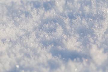 Snow crystals in big close up